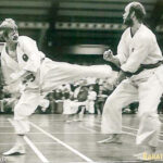 Pall sensei