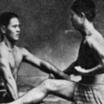 The Evolution from Okinawan Te to Modern Karate
